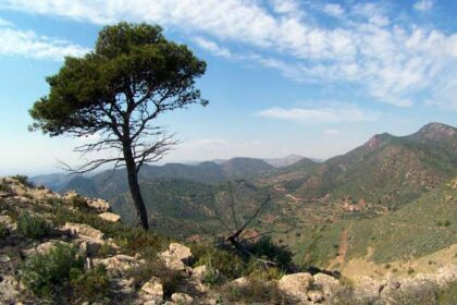 8032 230731 calderona habitats 1