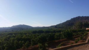 8188 riba roja paraje porxinos