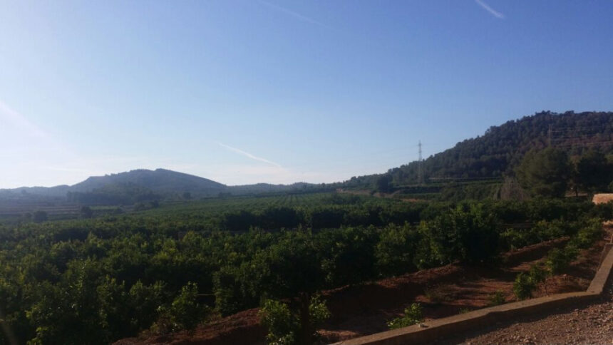 8188 riba roja paraje porxinos