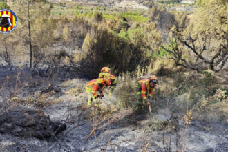 8204 montitxelvo incendi forestal 07