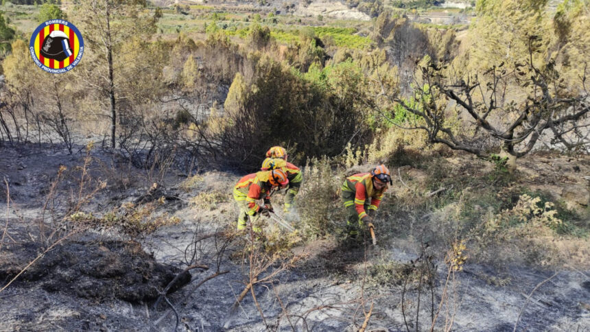 8204 montitxelvo incendi forestal 07