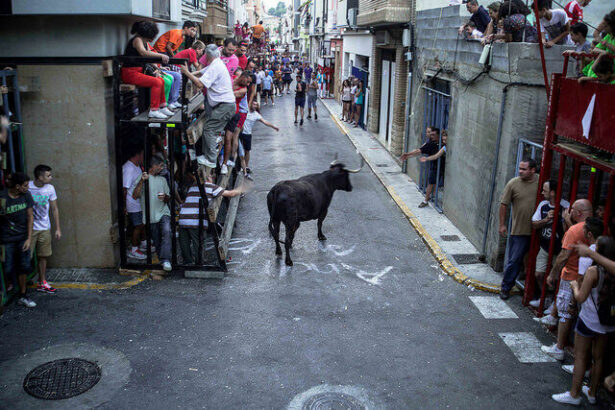 'Bous al carrer'.