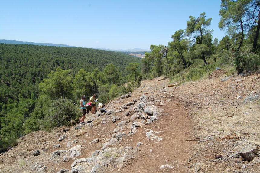 8362 moixent bastida alcusses excavacions paviment