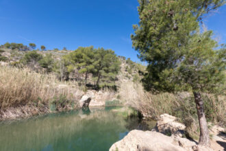 8658 parque natural turia canas