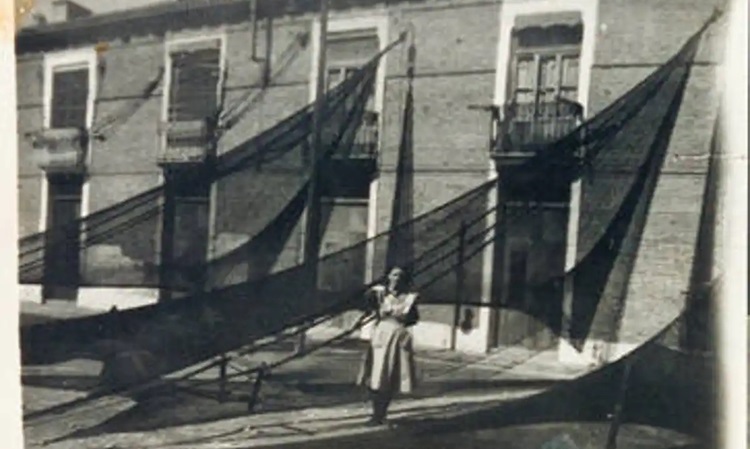 8693 valencia y su gente reconstruye la imagen grafica de la ciudad en el ultimo siglo y medio