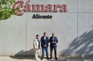 8714 camara alicante villena fulgencio cerdan