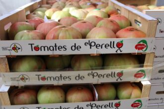 9449 tomate de el perello