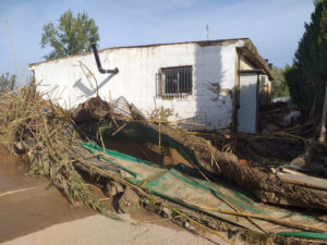 Riba-roja de Túria suspende las licencias urbanísticas en zonas inundables durante un año 28 9488 riba roja dana