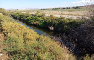 9962 villena acequia rey