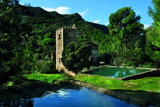 Torre dels Coloms d'Alzira.