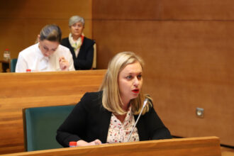 5757 natalia enguix ple diputacio valencia