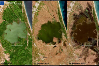 8141 albufera copernicus