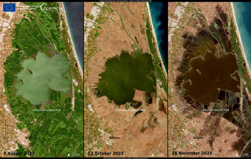 8141 albufera copernicus
