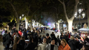 Xàtiva llança una campanya per a conscienciar i educar sobre la sostenibilitat durant les festes de Nadal 40 8944 xativa albereda nadal