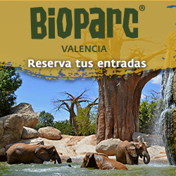 BIOPARC_Valencia_2022_250x250_elefantes