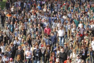 romeria 1 copia