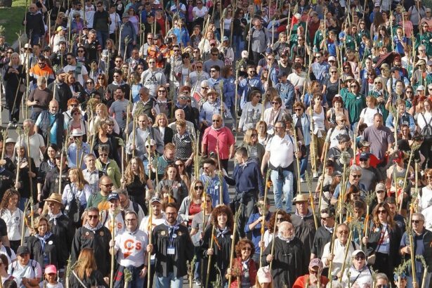 romeria 1 copia