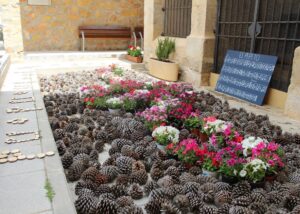 2. El sonido de las plantas de grupo Enreda2 2019