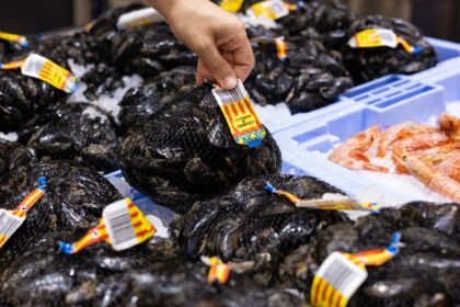 Clochina valenciana en la pescaderia de Mercadona