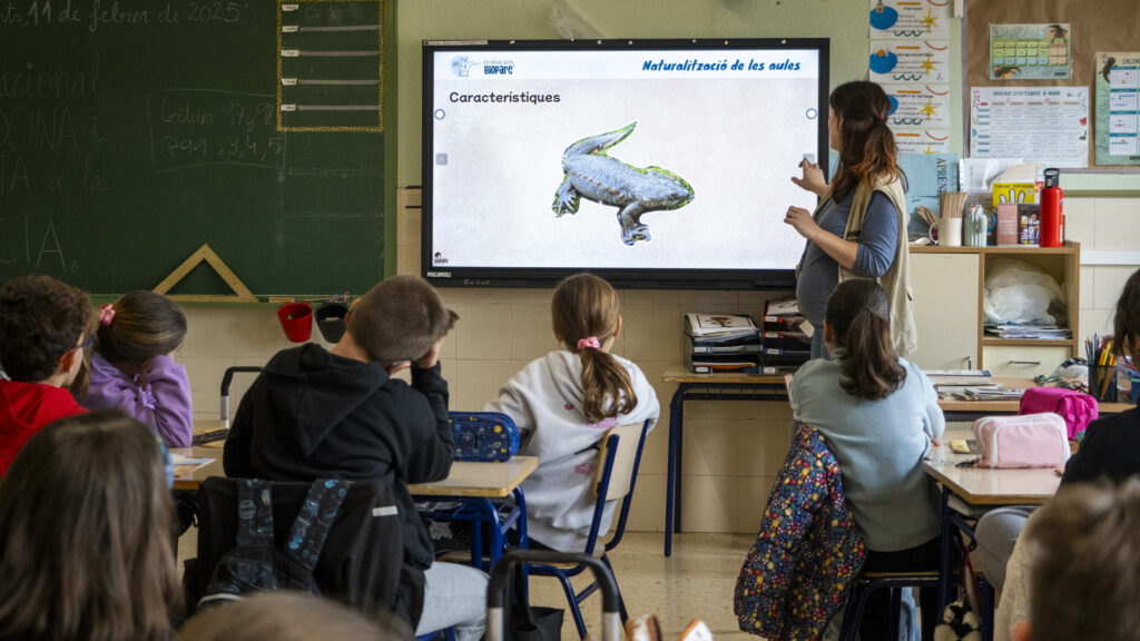 2025 Naturalizacion de las Aulas Proyecto de conservacion de Fundacion BIOPARC con la colaboracion de Caixa Popular