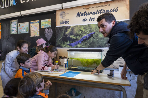 2025 Naturalizacion de las Aulas Proyecto de conservacion de Fundacion BIOPARC con la colaboracion de Caixa Popular 2