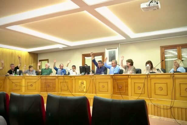 Pleno municipal de Chiva.