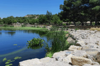 Parque El Recorral