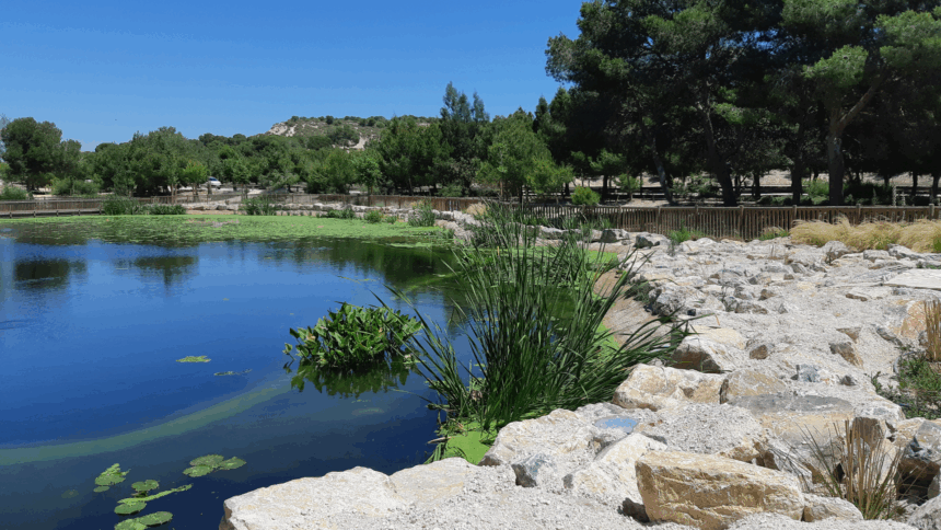 Parque El Recorral