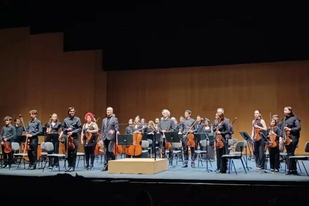 Orquesta de l'Horta Sud.