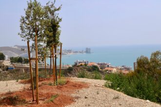 Nou mirador a la muntanya del Castell de Cullera.