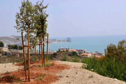 Nou mirador a la muntanya del Castell de Cullera.