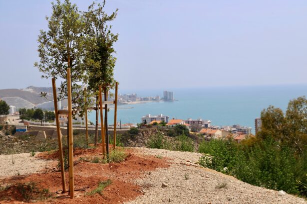 Nou mirador a la muntanya del Castell de Cullera.