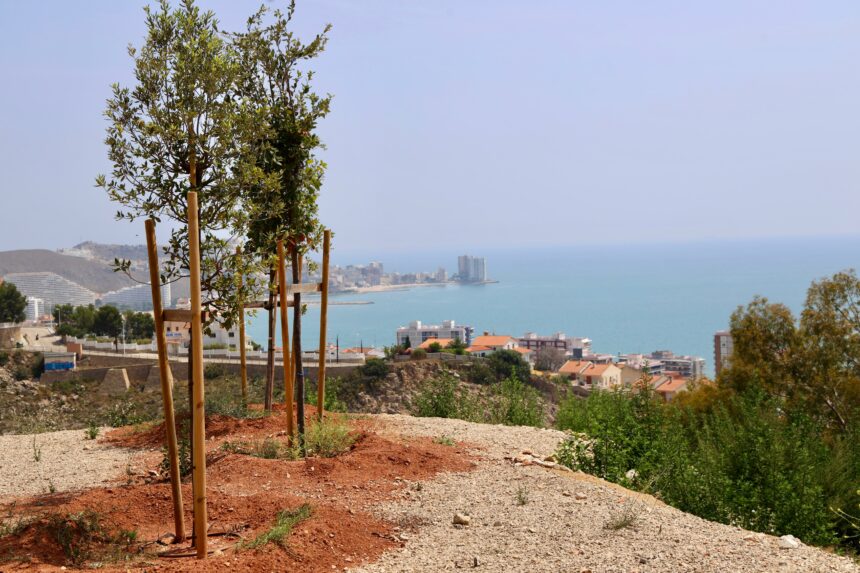 Nou mirador a la muntanya del Castell de Cullera.