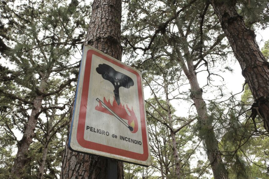 El riesgo de incendios se ha extendido a toda la Comunitat Valenciana.