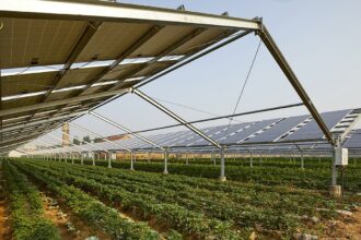 agrovoltaica