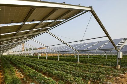 agrovoltaica