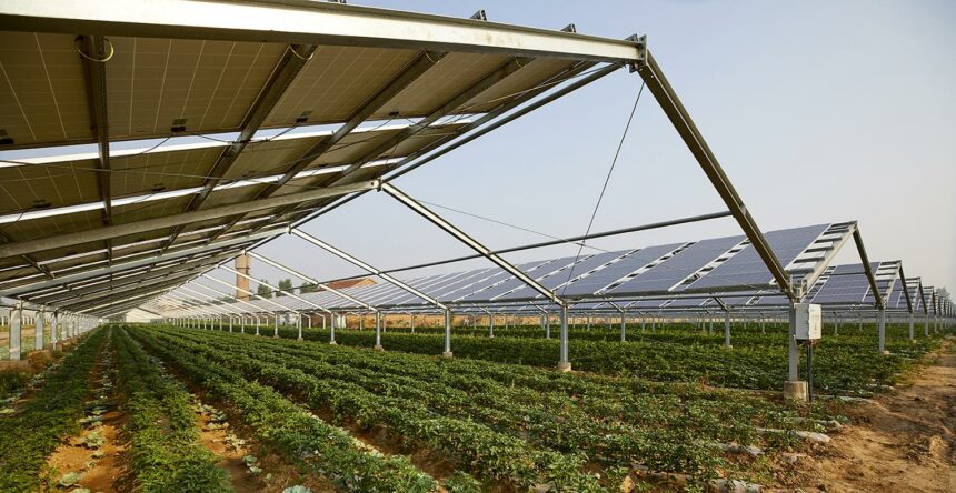 agrovoltaica