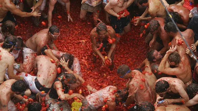 2708TomatinaFotodelAyuntamientodeBunol