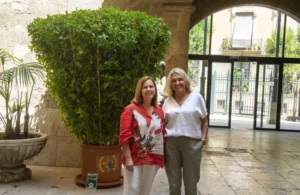 Una alfàbega monumental de Bétera adorna el Palau de Batlia de València 27 AlfabegaBeterafotoAbulaila1