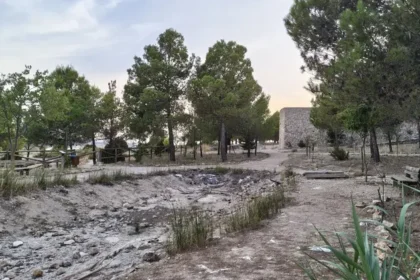 EstanqueartificialparqueNaturalMunicipalElMolonCamporrobles