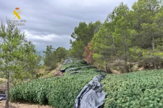 FOTO2