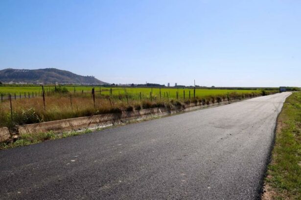 camins agricoles reparats DANA 1