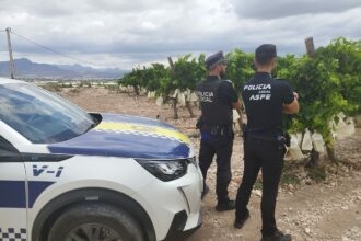 vigilancia uva de mesa 5