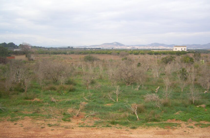 Terrenos donde se proyectó el PAI de campo de golf.