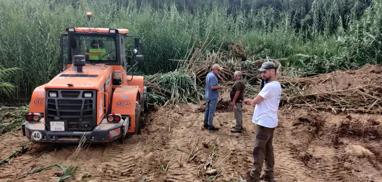La Diputación de Valencia promueve la recuperación del río Turia en Vilamarxant 1 3 10