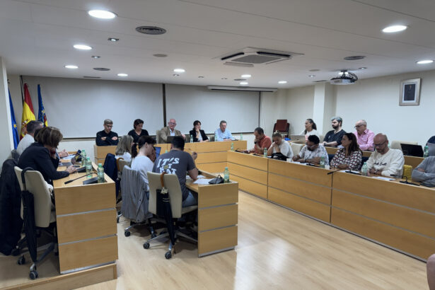 Pleno municipal de Paiporta.
