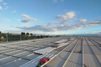 20251124NPchesteobraspabellon03