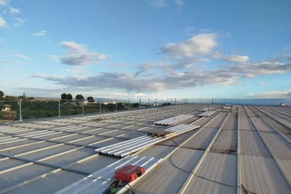 20251124NPchesteobraspabellon03