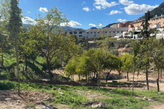 ActuacionsLaVaguada2