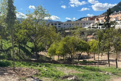 ActuacionsLaVaguada2